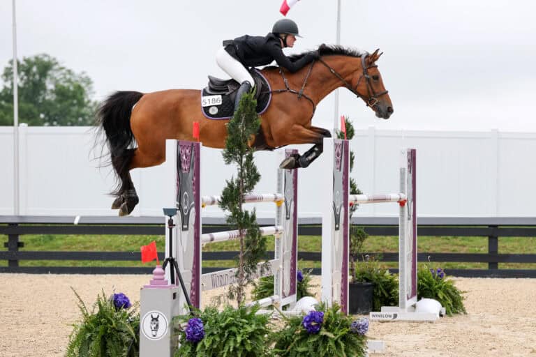A rider in equestrian gear guides a brown horse over a high jump obstacle during a show jumping competition.