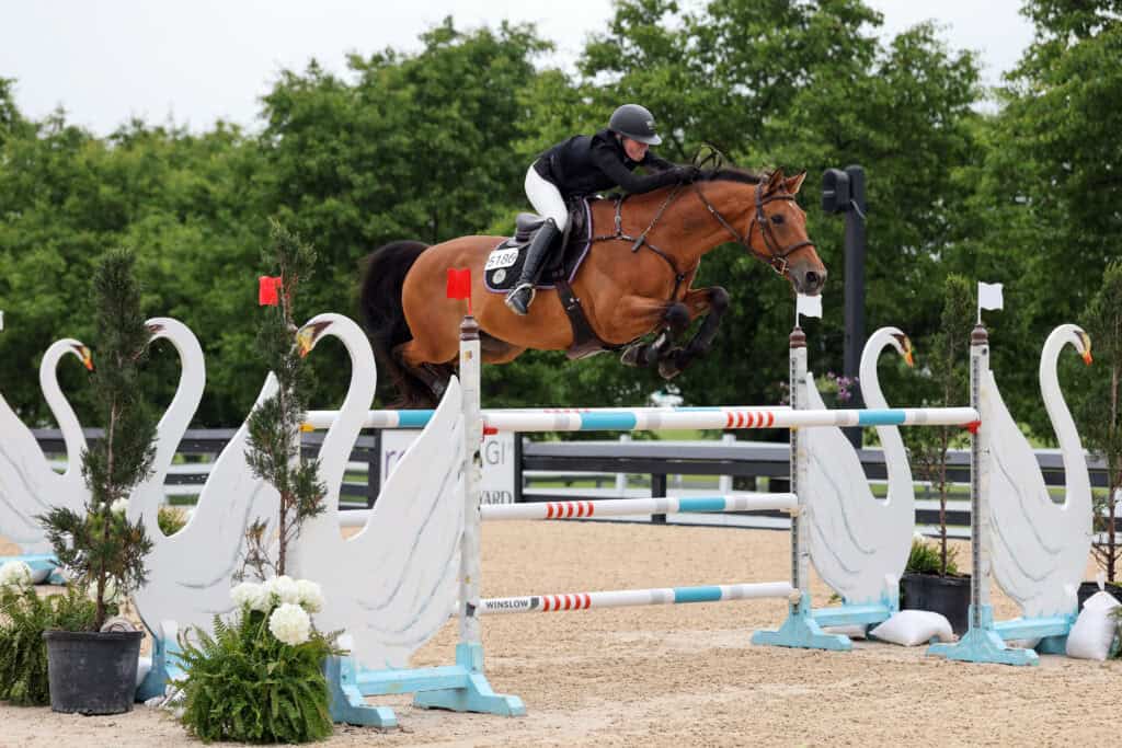 A rider in equestrian gear guides a horse over a jump decorated with swan motifs at an outdoor show jumping event.