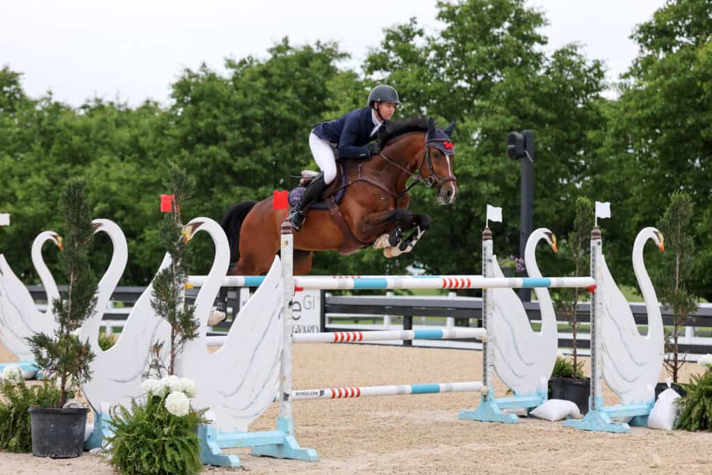 Equestrian rider in navy attire and helmet jumps a brown horse over a swan-themed obstacle during a show jumping competition.