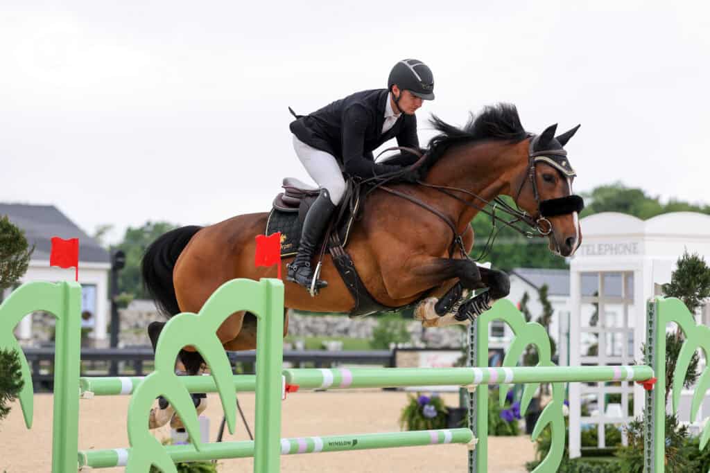 A rider in equestrian gear jumps a brown horse over a green and red obstacle during a show jumping event.
