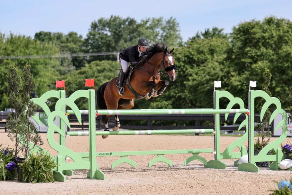 A rider in equestrian gear guides a brown horse over a green show jumping fence during an outdoor competition.