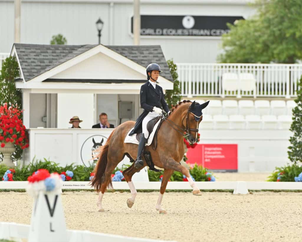 A rider in formal attire performs dressage on a chestnut horse in an outdoor arena, with white barriers, flowers, and a judge’s booth in the background.