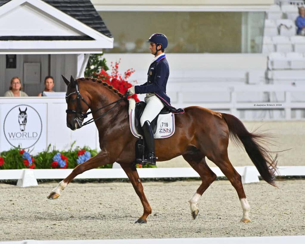 A rider in formal attire performs dressage on a chestnut horse in an indoor arena, with spectators and competition signage in the background.