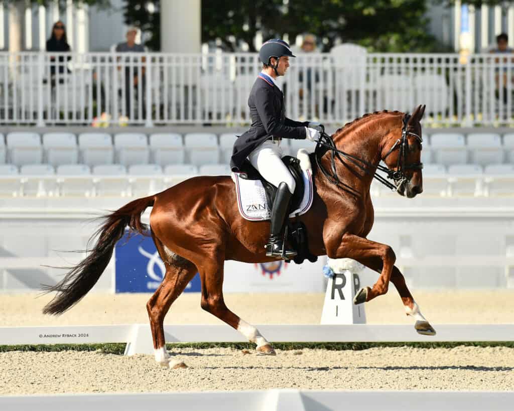 A rider in formal attire performs dressage on a chestnut horse in an outdoor arena with white fences and spectators in the background.