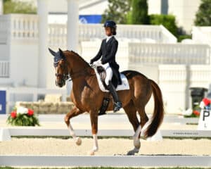 A rider in formal attire participates in a dressage competition, guiding a brown horse with white markings in an outdoor arena.