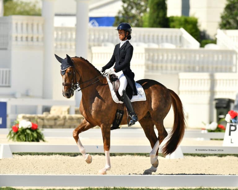 A rider in formal attire participates in a dressage competition, guiding a brown horse with white markings in an outdoor arena.