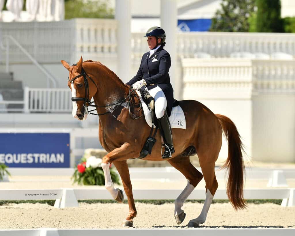 A rider wearing formal equestrian attire guides a chestnut horse through a dressage routine in an outdoor arena.