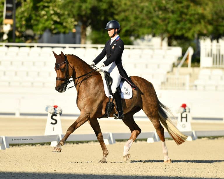 A rider in formal equestrian attire guides a horse through a dressage arena with white barriers and letter markers visible in the background.