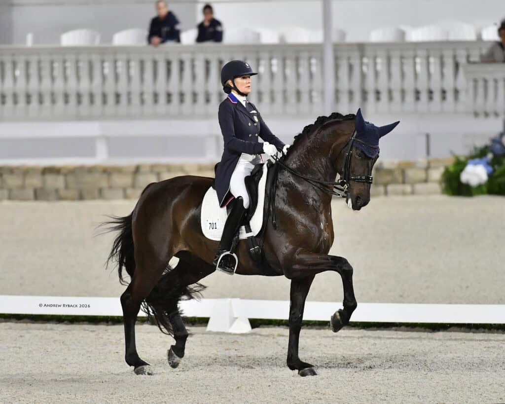 A rider in formal dressage attire guides a dark horse through a dressage movement in an outdoor arena.