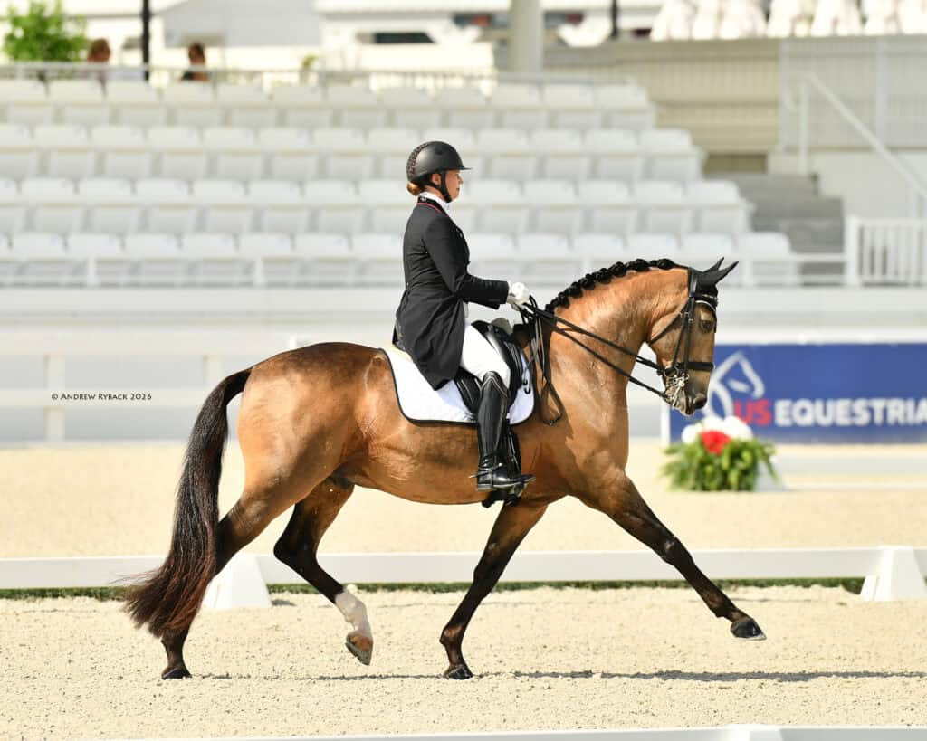 A rider dressed in formal equestrian attire guides a brown horse through a dressage routine in an outdoor arena with empty white seats in the background.