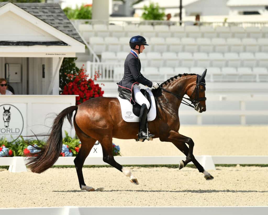 A rider in formal equestrian attire guides a bay horse through a dressage test in an outdoor arena with tiered seating in the background.