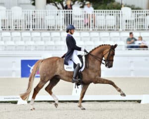 A rider wearing a helmet and formal attire guides a horse in an extended trot during a dressage competition in an outdoor arena.