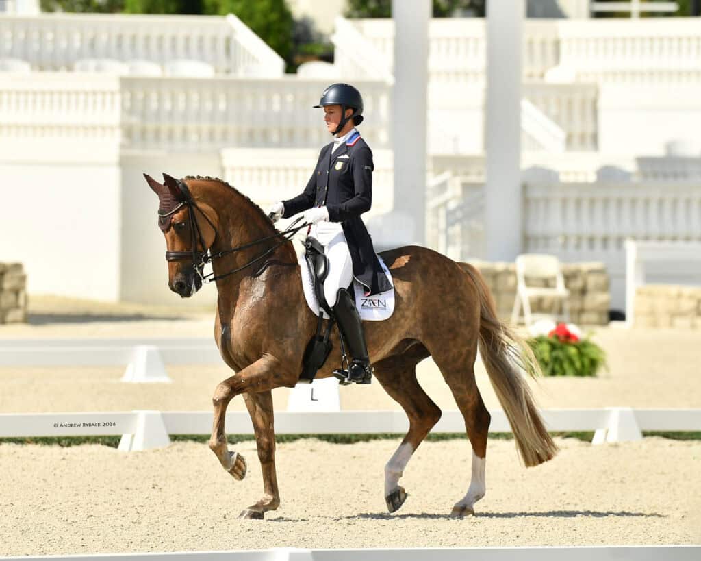 A rider in formal equestrian attire competes in a dressage event, guiding a chestnut horse through a trot in an outdoor arena.
