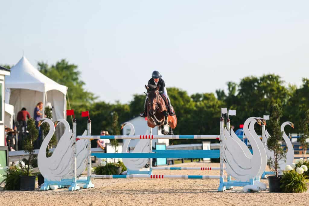 An equestrian rider and horse jump over a blue and white obstacle with swan decorations during a show jumping competition outdoors.