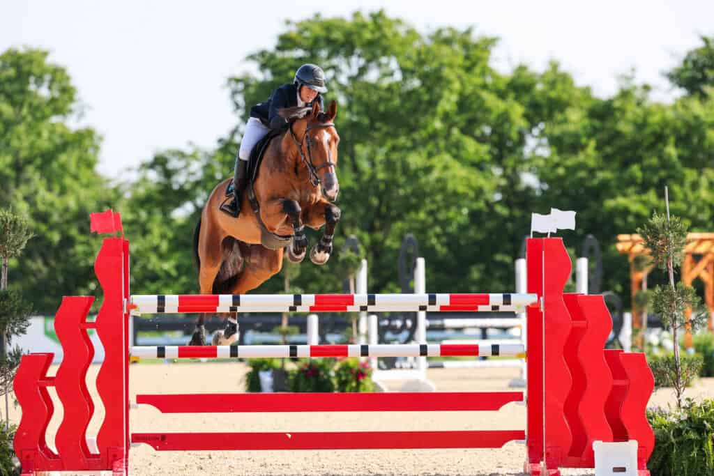 A person riding a brown horse jumps over a red and white obstacle during an outdoor equestrian event.