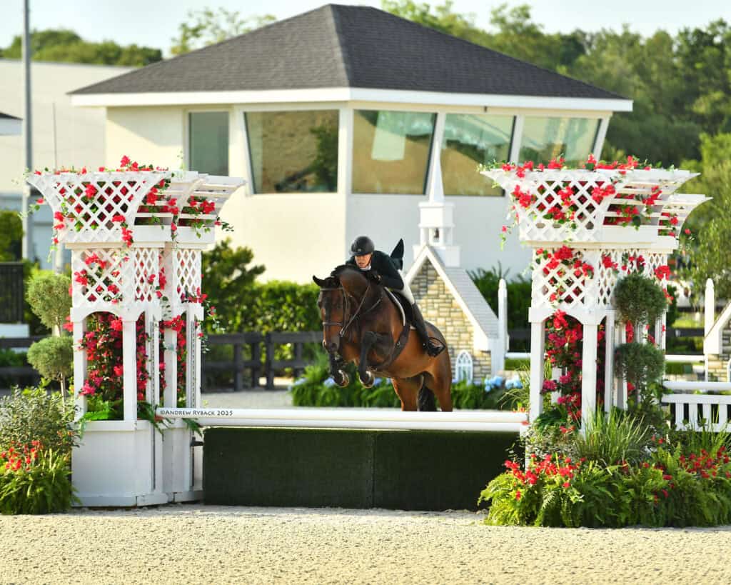 A rider on a brown horse jumps over a green and white obstacle decorated with red flowers in an outdoor equestrian arena.