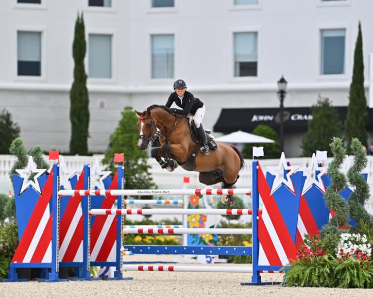 An equestrian rider on a brown horse jumps over a red, white, and blue obstacle during a show jumping competition outdoors.
