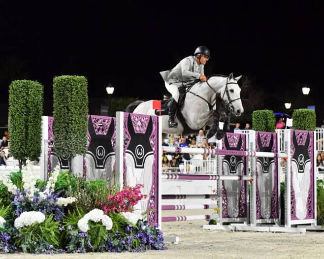 A rider in a gray jacket and helmet jumps a white horse over a purple and white obstacle during an equestrian event at night.