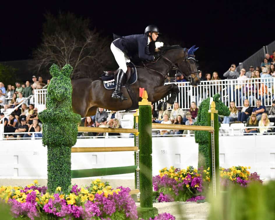 A rider in equestrian gear guides a horse over a jump during a show jumping competition, with spectators watching from bleachers in the background.