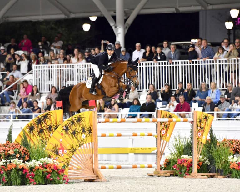 A rider and horse jump over an obstacle decorated with large fans and flowers during an equestrian competition, with a crowd watching in the background.