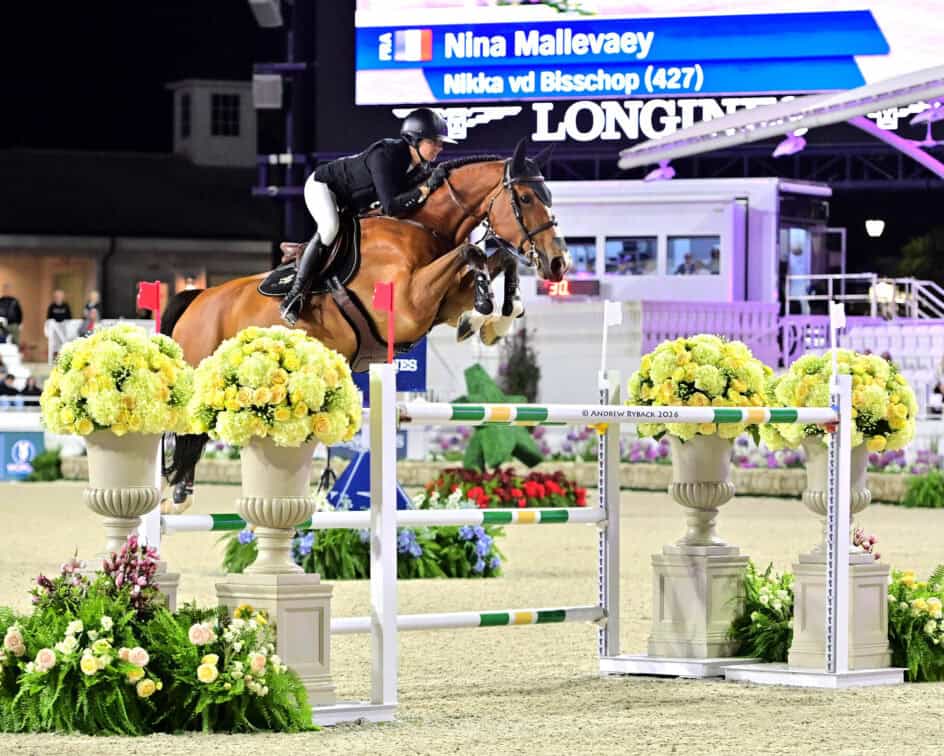 An equestrian rider and horse jump over an obstacle during a competition, with event signage and floral decorations visible in the background.