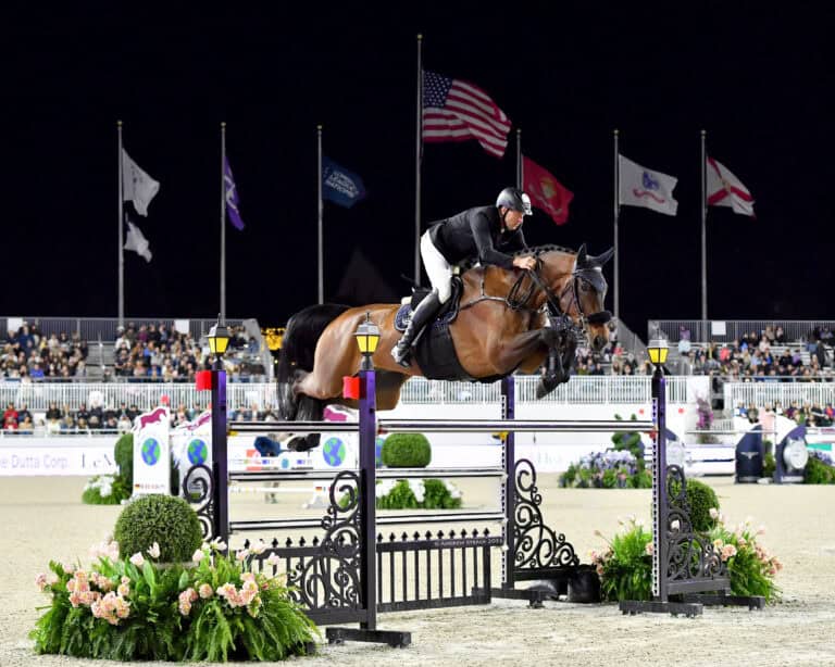 Equestrian rider and horse jumping over a high obstacle during a nighttime competition, with spectators and flags in the background.