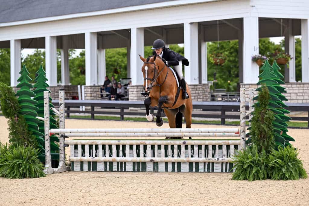 A rider in equestrian attire jumps a brown horse over a white and green fence in an outdoor arena, with a pavilion and audience in the background.