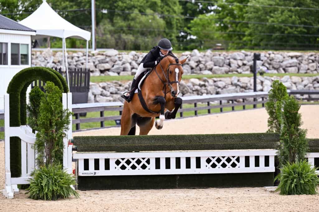 A rider in equestrian gear and helmet guides a brown horse over a jump during a show jumping competition in an outdoor arena.