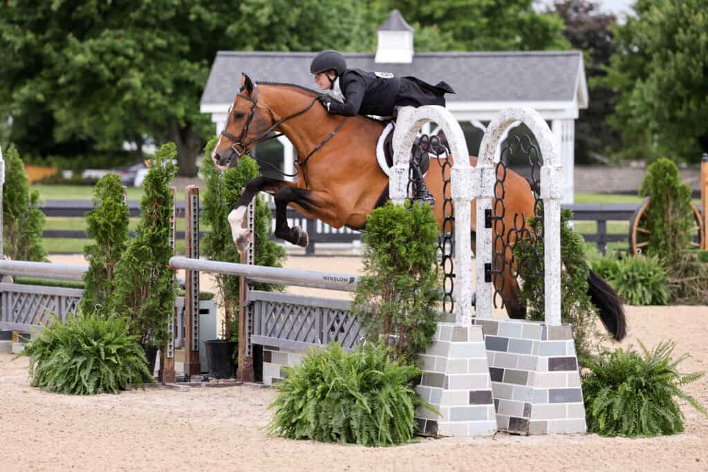 A rider wearing a helmet and jacket guides a brown horse over a jump in an outdoor equestrian arena with greenery and a small white building in the background.