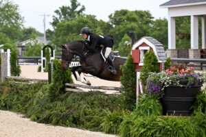 A rider in equestrian gear jumps a dark horse over a wooden fence during a show jumping event, with greenery and a flower planter nearby.