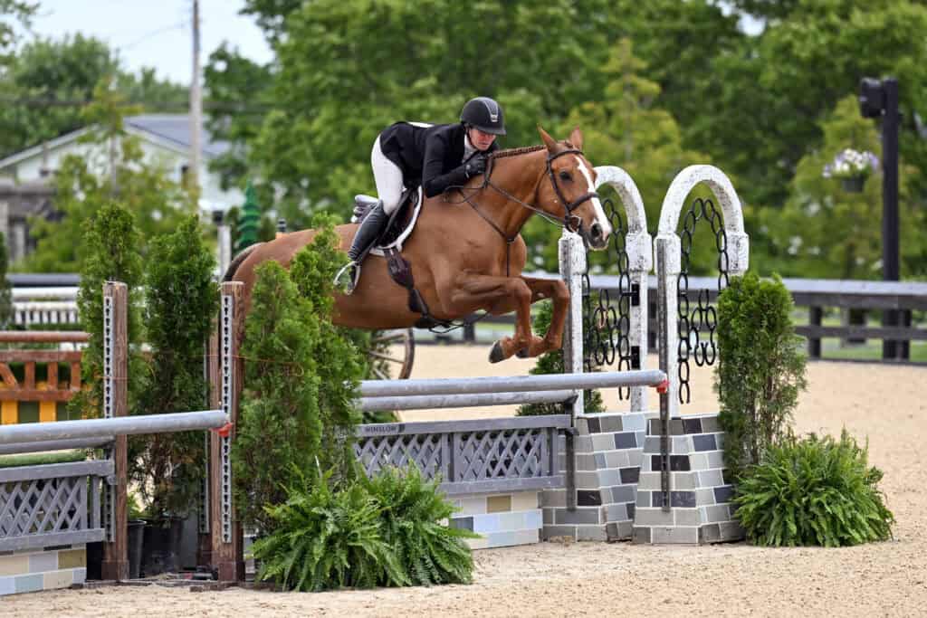 A rider dressed in black and white jumps a brown horse over a decorative obstacle during an outdoor equestrian event.