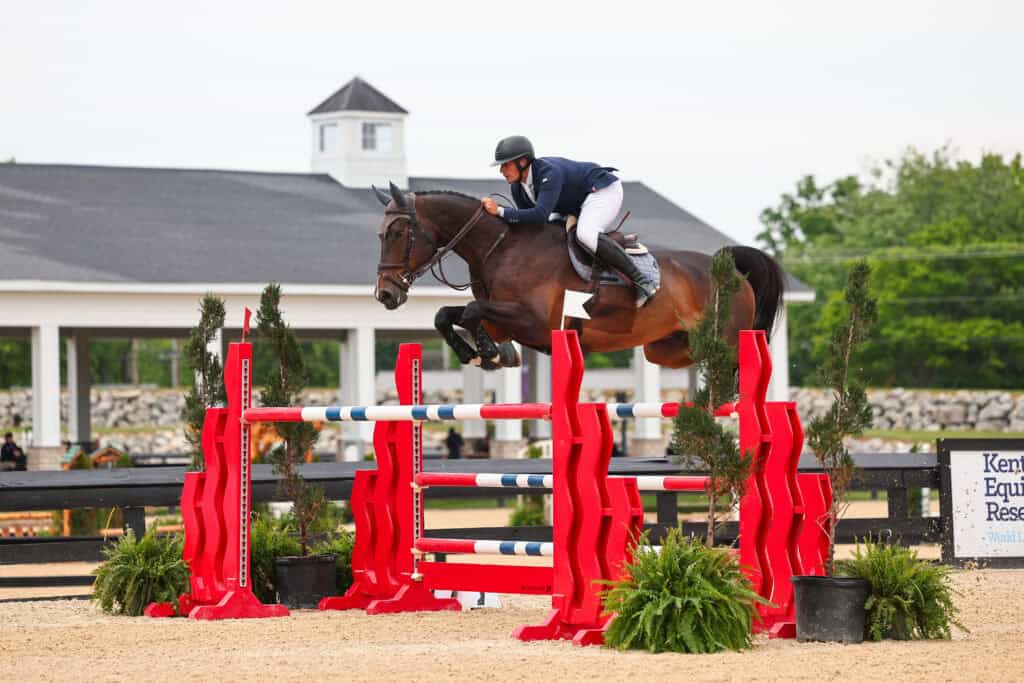 Equestrian rider on a brown horse jumps over a red and blue obstacle during a show jumping competition at an outdoor arena.