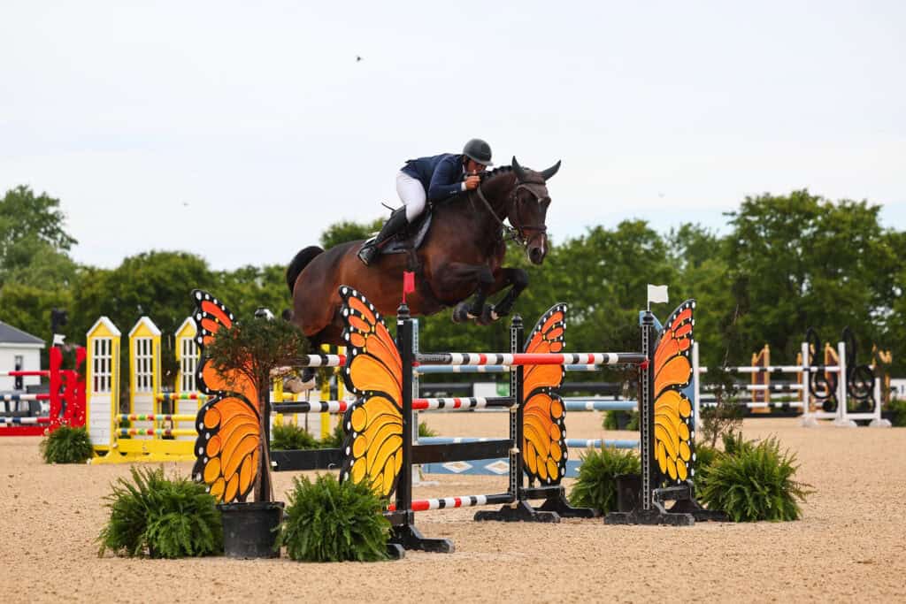 A rider on horseback jumps over an obstacle decorated with butterfly wings during an equestrian show jumping competition.
