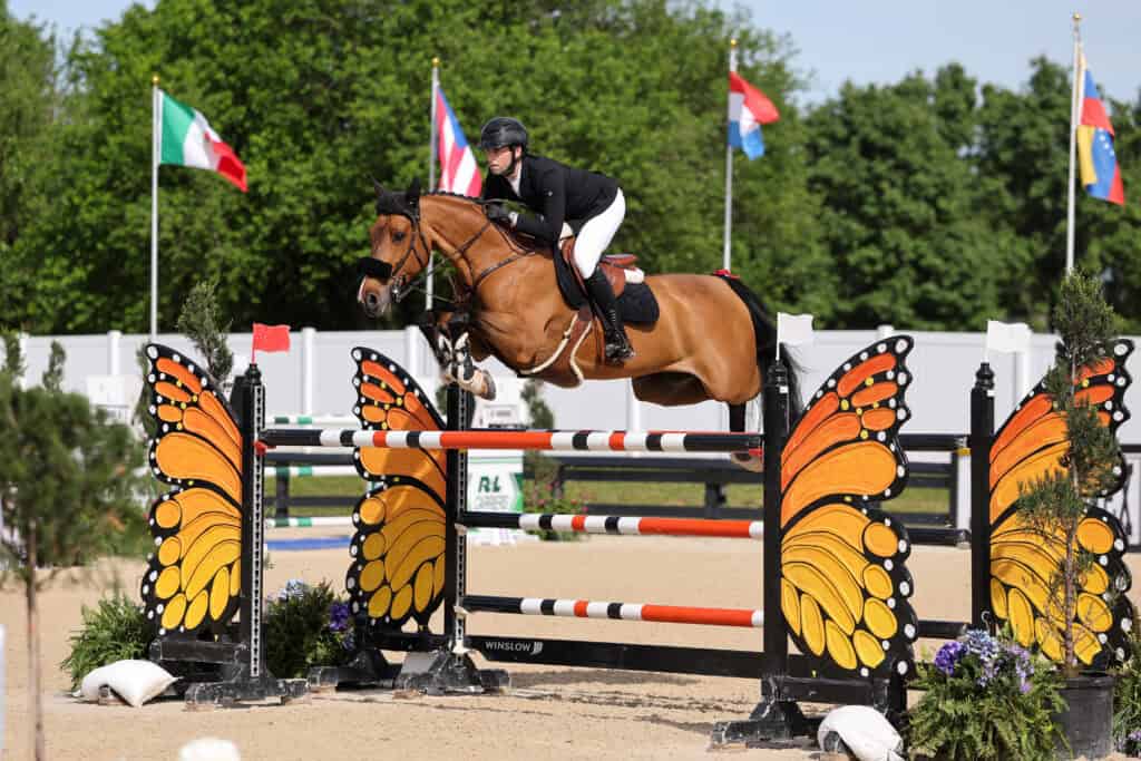 Equestrian rider on a brown horse jumps over an obstacle decorated with butterfly wings at an outdoor competition. Flags and trees are visible in the background.