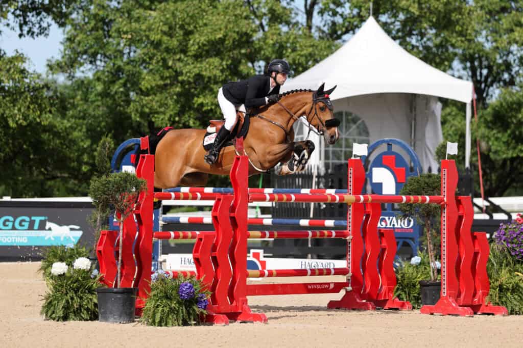 A rider in equestrian attire guides a brown horse over a red show jumping obstacle in an outdoor arena with trees and a white tent in the background.