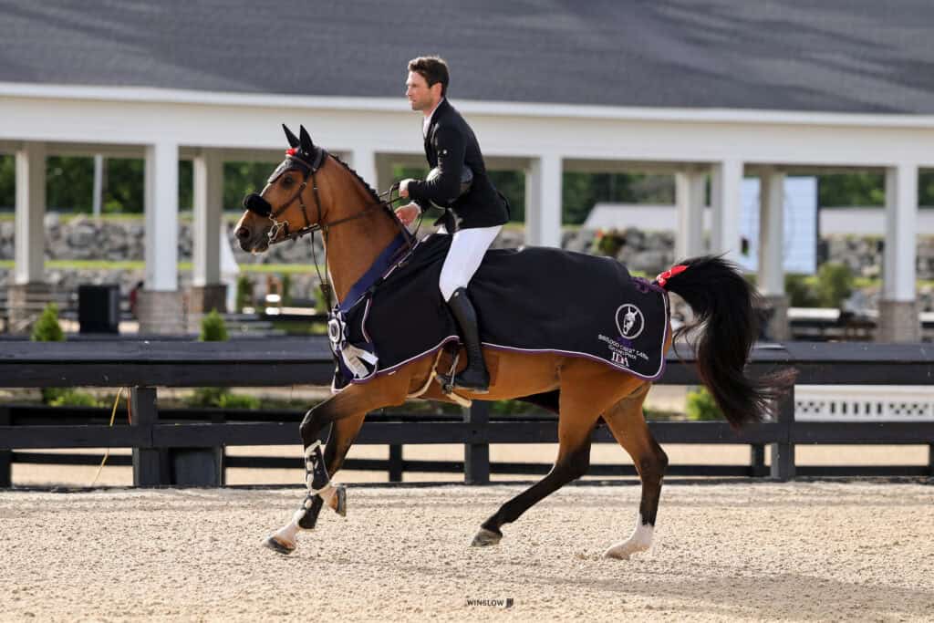 A rider in formal attire rides a brown horse draped in a winner’s blanket and medals at an outdoor equestrian arena.