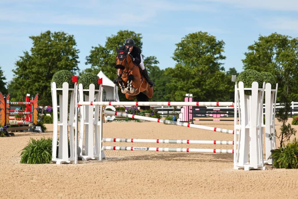 A rider on a brown horse jumps over a high red and white show jumping fence in an outdoor arena with trees and blue sky in the background.