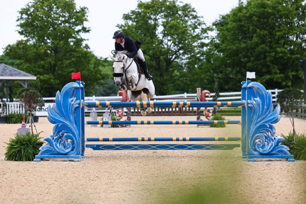 A rider on a white horse jumps over blue and yellow obstacles during an equestrian event on an outdoor sand arena with green trees in the background.