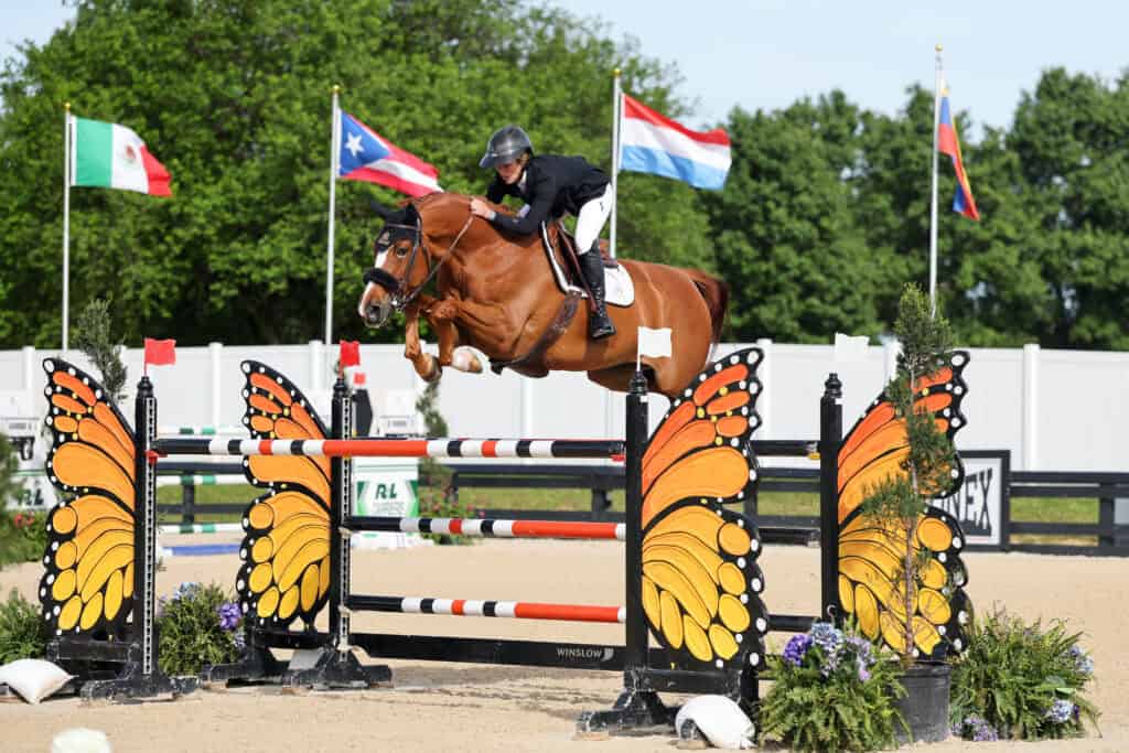 Equestrian rider and horse jump over an obstacle decorated with butterfly wings at an outdoor competition, with flags of various countries in the background.