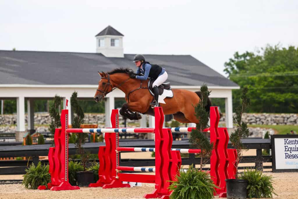 Equestrian rider in helmet and uniform guides a brown horse over a red and blue jump obstacle at an outdoor arena.