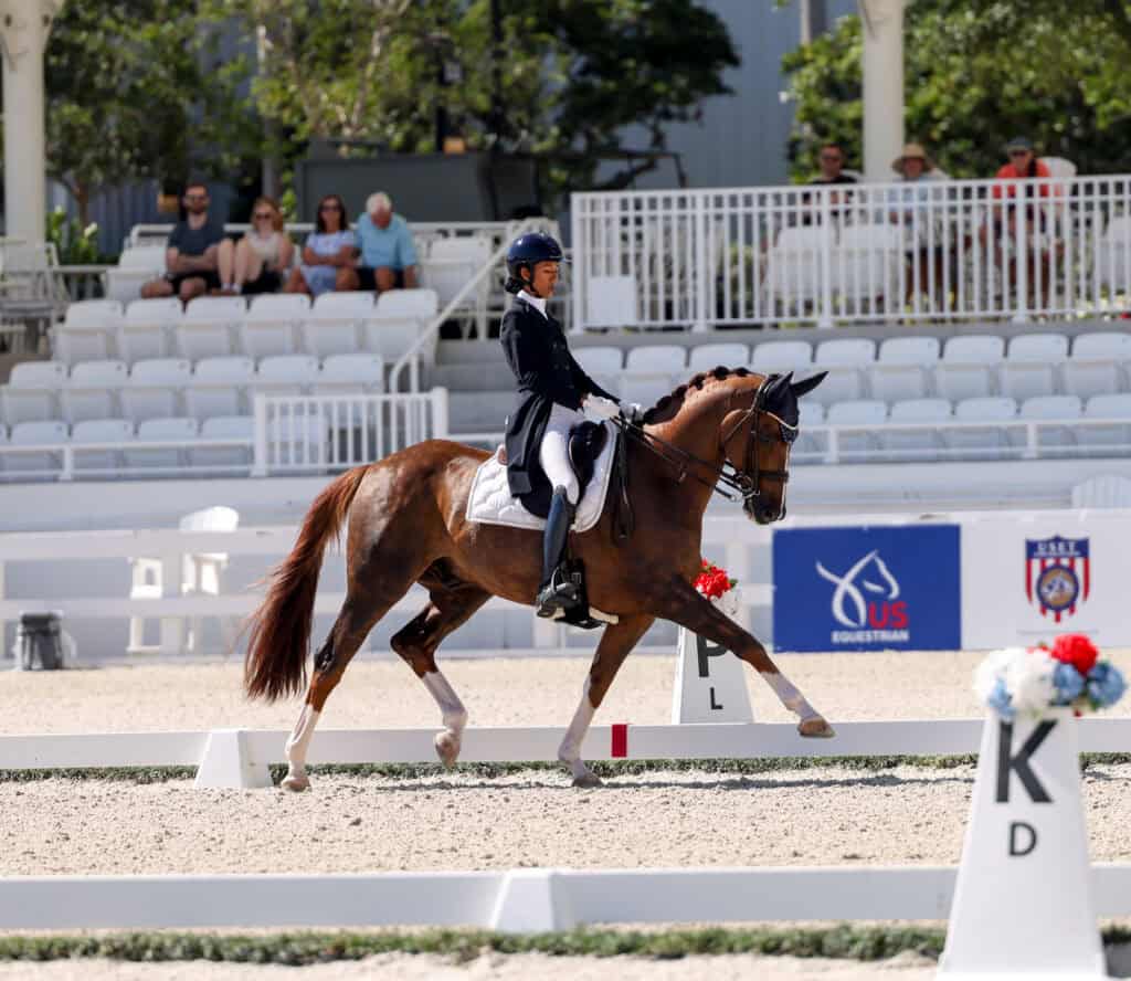 A rider in formal attire guides a horse through a dressage routine in an arena, with spectators seated in the background.