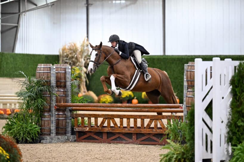 A rider in formal attire guides a horse over a wooden jump during an indoor equestrian event.