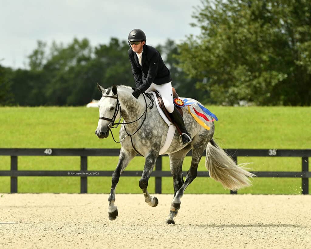 A rider in formal equestrian attire sits on a gray horse with a colorful award ribbon, trotting on a sandy arena with a grassy field and fence in the background.