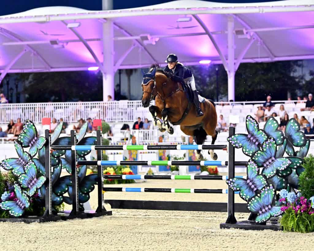 Equestrian rider and horse jump over a hurdle decorated with butterfly designs in a brightly lit arena with spectators in the background.