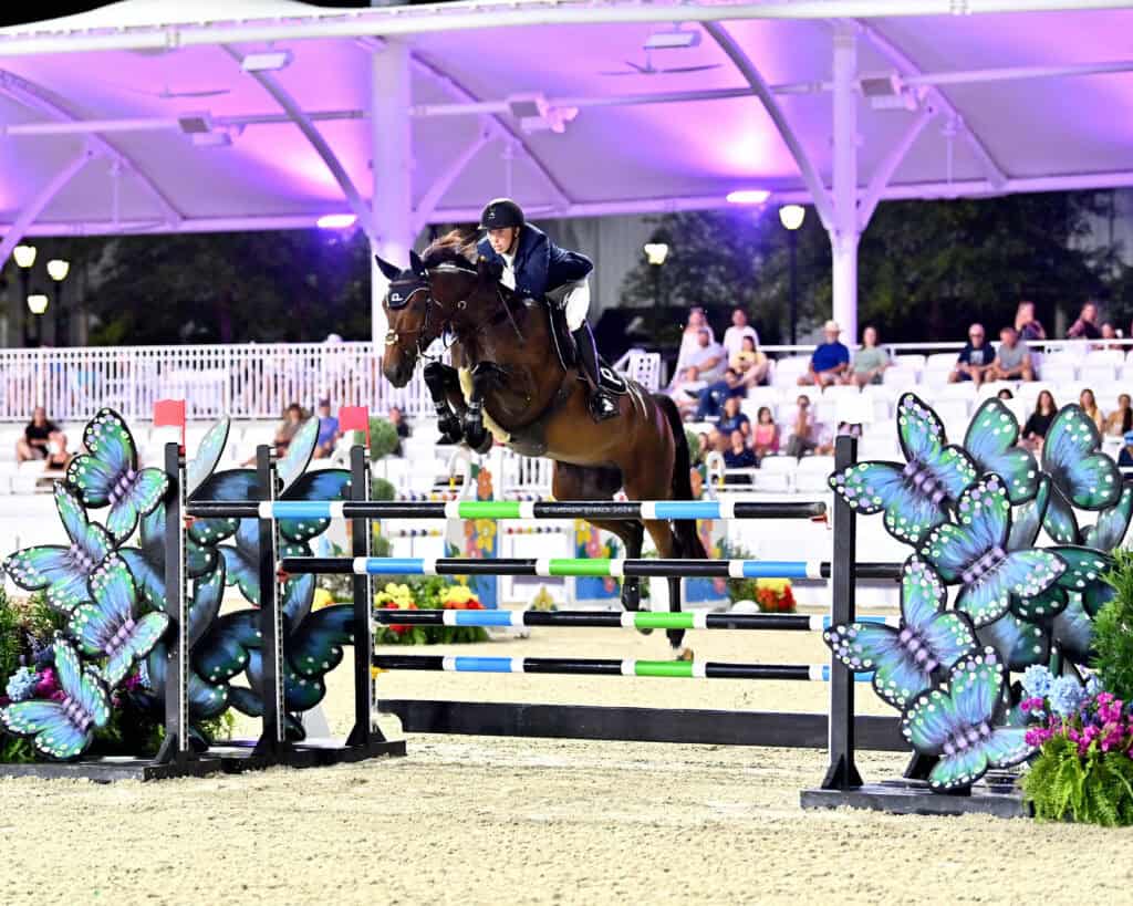 A rider in equestrian attire jumps a brown horse over a colorful obstacle decorated with butterfly designs during a nighttime show jumping competition.