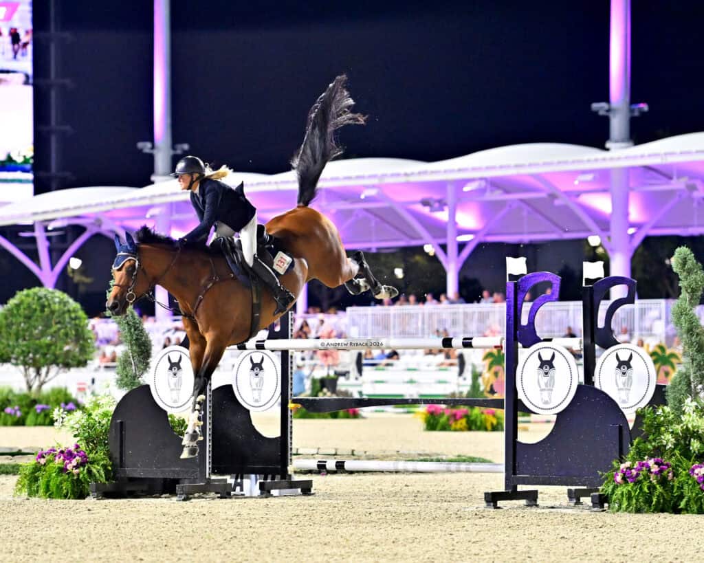 A rider on horseback jumps over a high obstacle during an equestrian event at night, with a lit arena and spectators in the background.