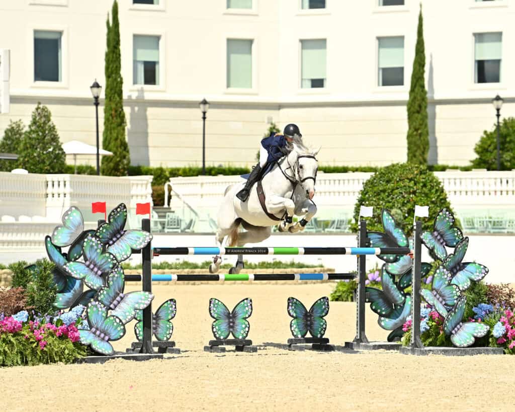 A rider on a white horse jumps over an obstacle decorated with butterfly designs during an equestrian event in an outdoor arena.