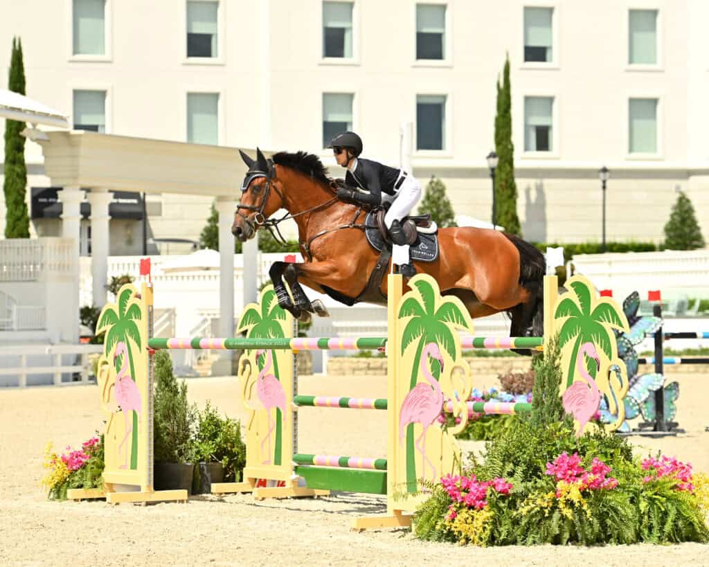 Equestrian rider in black attire and helmet jumps a brown horse over a decorative obstacle with flamingo and palm tree designs at an outdoor competition.