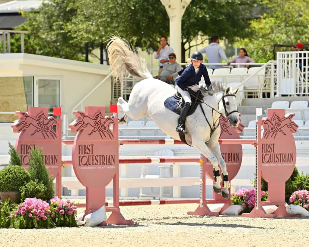 A rider in a navy jacket and helmet guides a gray horse over a show jumping obstacle labeled 