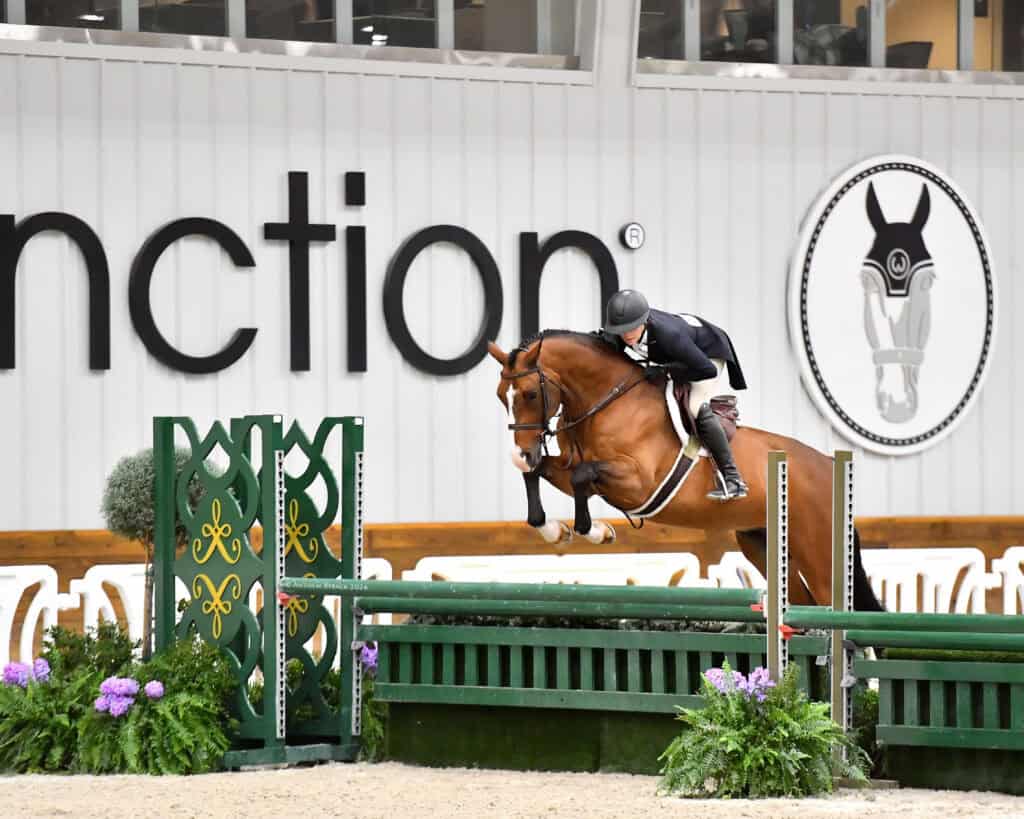 A rider in formal equestrian attire and helmet guides a horse over a green jump during an indoor show jumping competition.